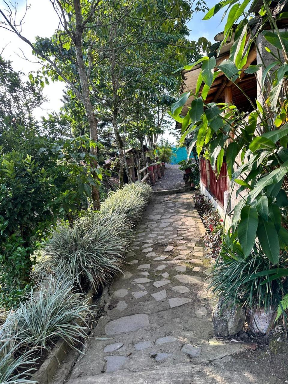 El Refugio Del Colibri Bed & Breakfast ซานตาโรซา เดกาบัล ภายนอก รูปภาพ