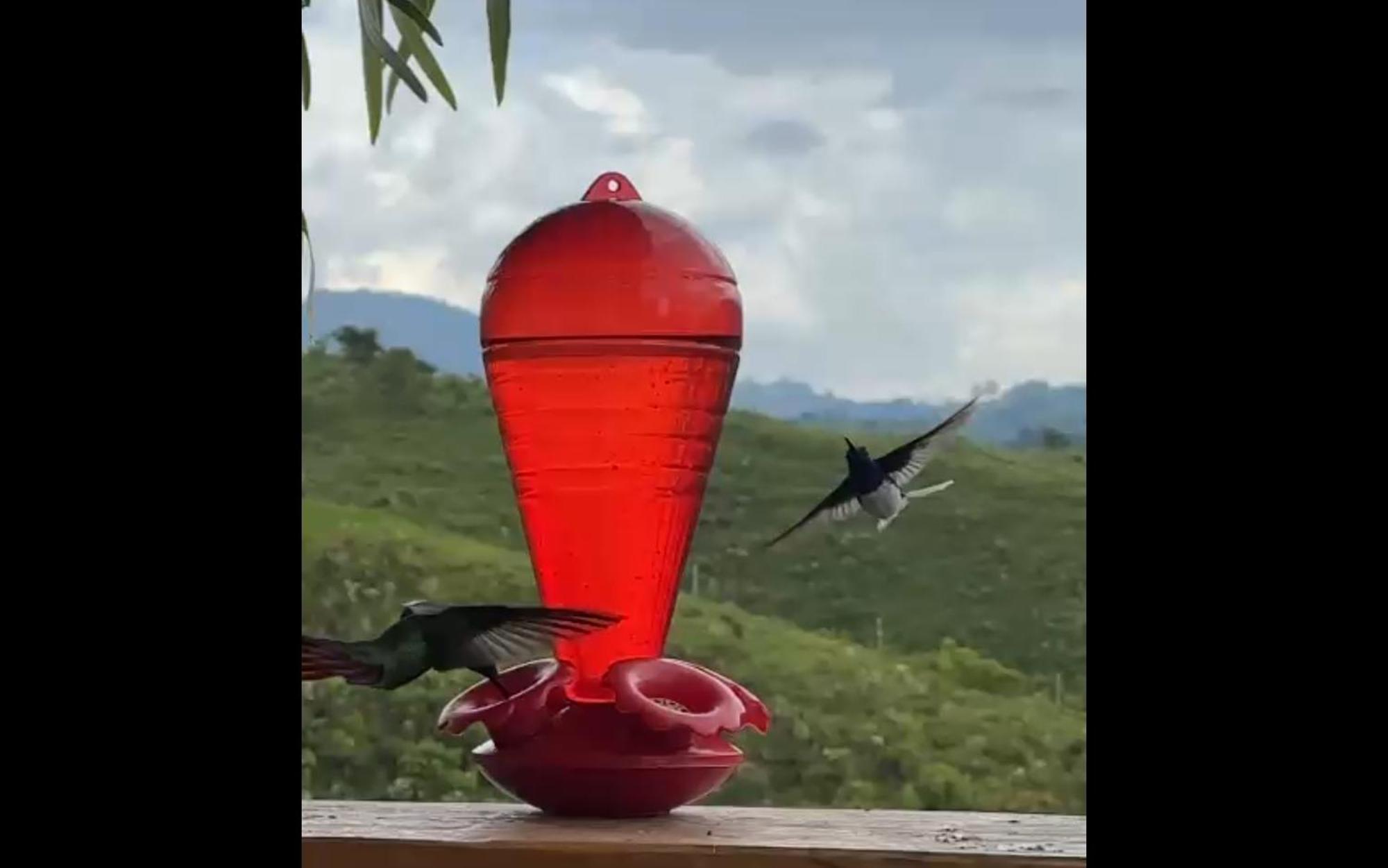 El Refugio Del Colibri Bed & Breakfast ซานตาโรซา เดกาบัล ภายนอก รูปภาพ