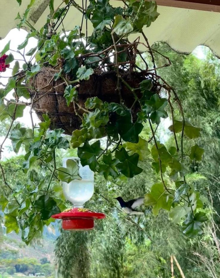 El Refugio Del Colibri Bed & Breakfast ซานตาโรซา เดกาบัล ภายนอก รูปภาพ